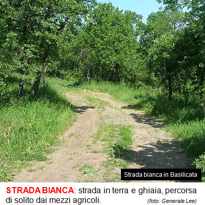 09_STRADA_BIANCA.jpg