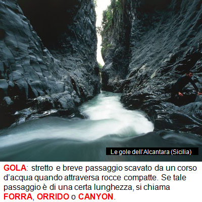 06_GOLA.jpg