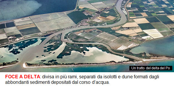 09_FOCE_A_DELTA.jpg 09_FOCE_A_DELTA.jpg