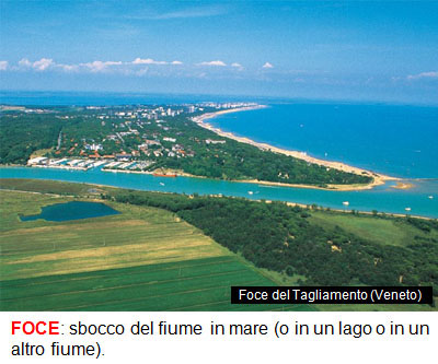 10_FOCE.jpg 10_FOCE.jpg