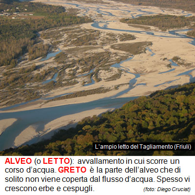 18_ALVEO.jpg 18_ALVEO.jpg