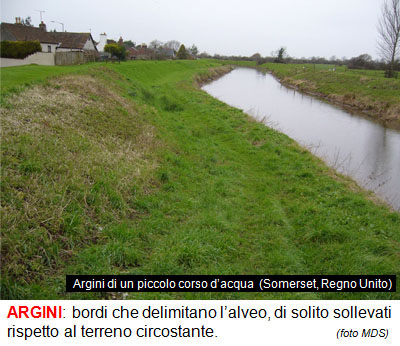 21_ARGINI.jpg 21_ARGINI.jpg