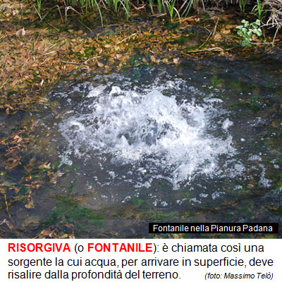 22_RISORGIVA.jpg 22_RISORGIVA.jpg